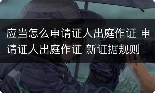 应当怎么申请证人出庭作证 申请证人出庭作证 新证据规则