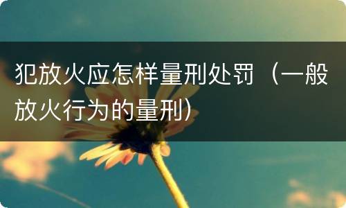 犯放火应怎样量刑处罚（一般放火行为的量刑）