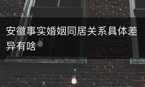 安徽事实婚姻同居关系具体差异有啥