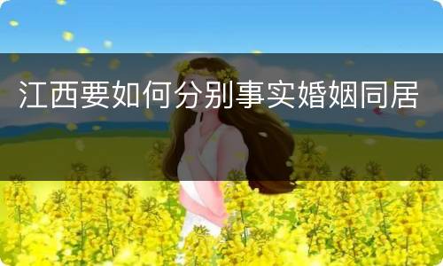 江西要如何分别事实婚姻同居
