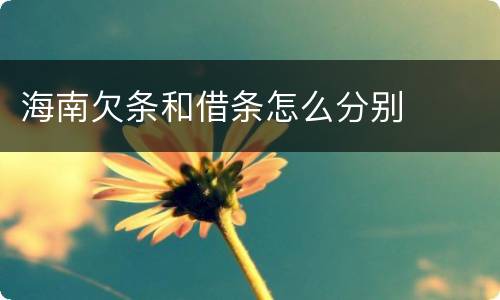 海南欠条和借条怎么分别