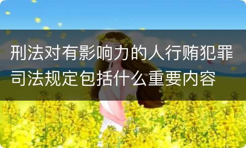 刑法对有影响力的人行贿犯罪司法规定包括什么重要内容
