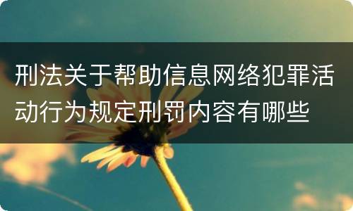 刑法关于帮助信息网络犯罪活动行为规定刑罚内容有哪些