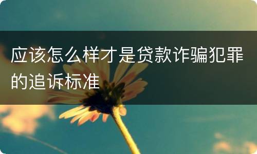 应该怎么样才是贷款诈骗犯罪的追诉标准