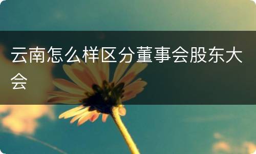 云南怎么样区分董事会股东大会