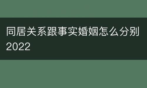 同居关系跟事实婚姻怎么分别2022