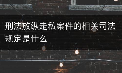 刑法放纵走私案件的相关司法规定是什么