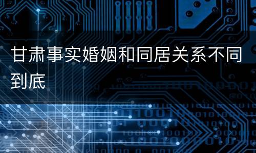 甘肃事实婚姻和同居关系不同到底