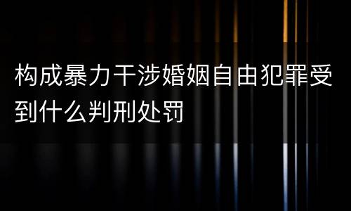 构成暴力干涉婚姻自由犯罪受到什么判刑处罚