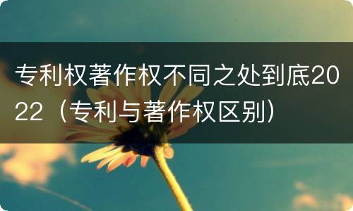 专利权著作权不同之处到底2022（专利与著作权区别）