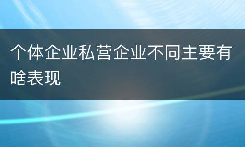 个体企业私营企业不同主要有啥表现