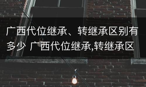广西代位继承、转继承区别有多少 广西代位继承,转继承区别有多少条