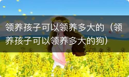 领养孩子可以领养多大的（领养孩子可以领养多大的狗）