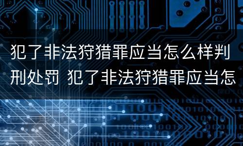 犯了非法狩猎罪应当怎么样判刑处罚 犯了非法狩猎罪应当怎么样判刑处罚决定书