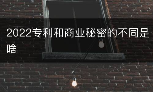 2022专利和商业秘密的不同是啥