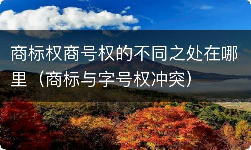 商标权商号权的不同之处在哪里（商标与字号权冲突）