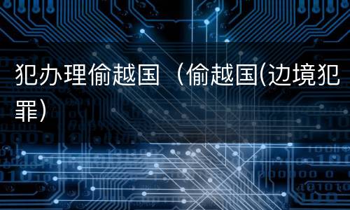 犯办理偷越国（偷越国(边境犯罪）