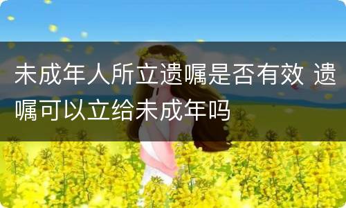 未成年人所立遗嘱是否有效 遗嘱可以立给未成年吗