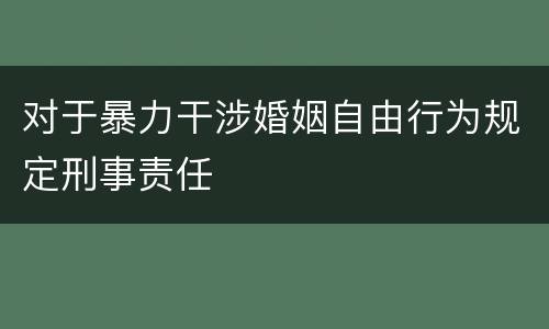 对于暴力干涉婚姻自由行为规定刑事责任