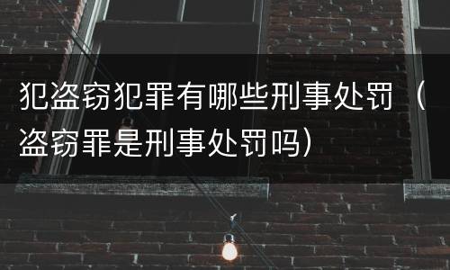 犯盗窃犯罪有哪些刑事处罚（盗窃罪是刑事处罚吗）