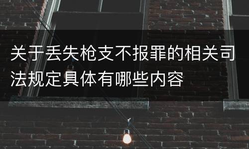 关于丢失枪支不报罪的相关司法规定具体有哪些内容