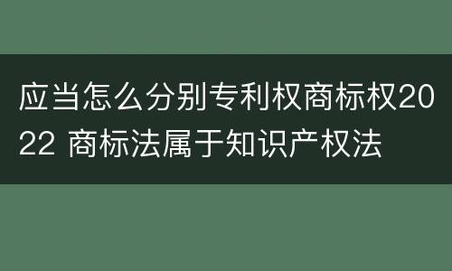 应当怎么分别专利权商标权2022 商标法属于知识产权法