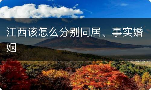 江西该怎么分别同居、事实婚姻