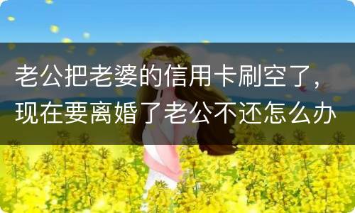 老公把老婆的信用卡刷空了，现在要离婚了老公不还怎么办