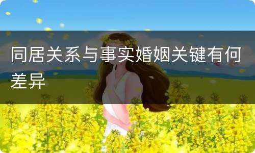 同居关系与事实婚姻关键有何差异