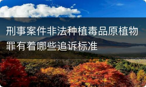 刑事案件非法种植毒品原植物罪有着哪些追诉标准