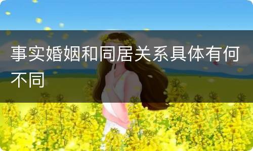 事实婚姻和同居关系具体有何不同