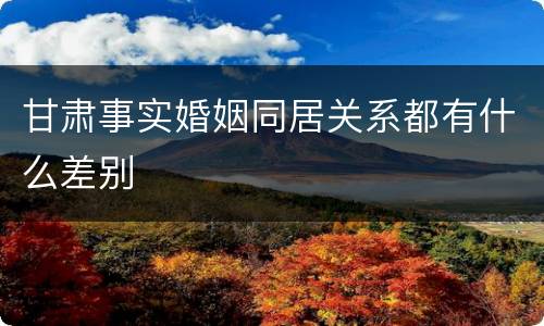 甘肃事实婚姻同居关系都有什么差别