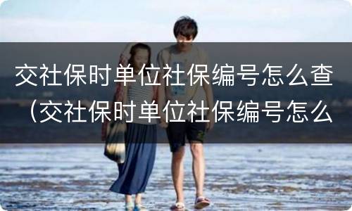 交社保时单位社保编号怎么查（交社保时单位社保编号怎么查不到）