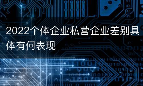 2022个体企业私营企业差别具体有何表现