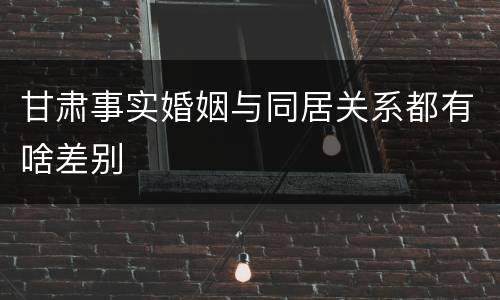 甘肃事实婚姻与同居关系都有啥差别