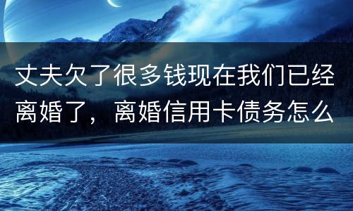 丈夫欠了很多钱现在我们已经离婚了，离婚信用卡债务怎么办