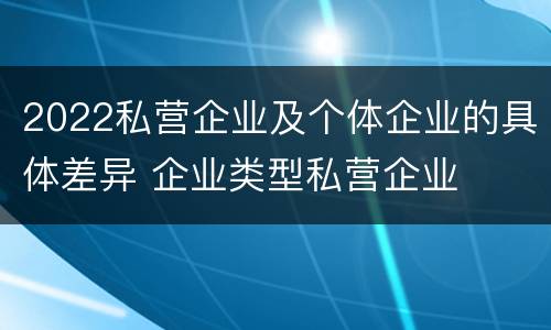 2022私营企业及个体企业的具体差异 企业类型私营企业