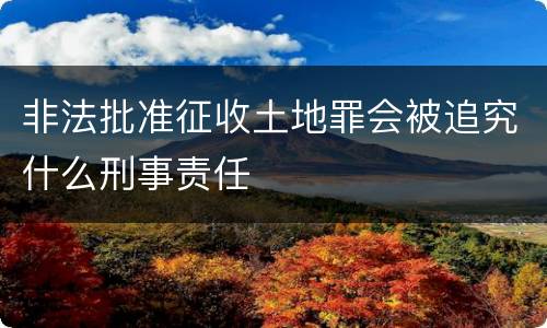 非法批准征收土地罪会被追究什么刑事责任