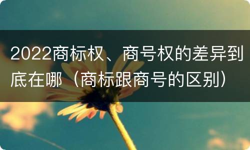2022商标权、商号权的差异到底在哪（商标跟商号的区别）