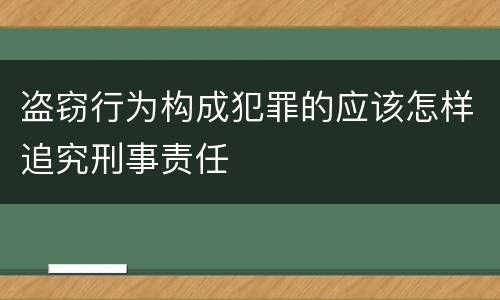 盗窃行为构成犯罪的应该怎样追究刑事责任