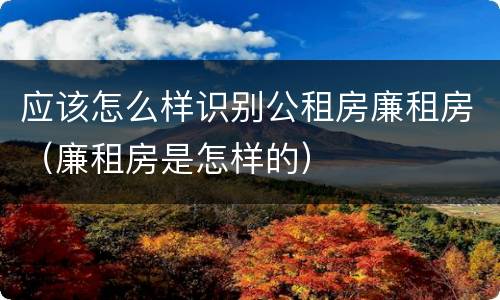 应该怎么样识别公租房廉租房（廉租房是怎样的）
