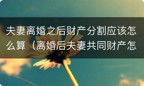 夫妻离婚之后财产分割应该怎么算（离婚后夫妻共同财产怎么分割）