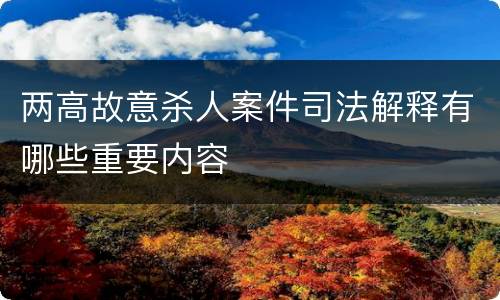 两高故意杀人案件司法解释有哪些重要内容