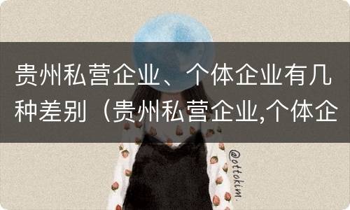 贵州私营企业、个体企业有几种差别（贵州私营企业,个体企业有几种差别是什么）