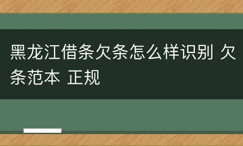 黑龙江借条欠条怎么样识别 欠条范本 正规