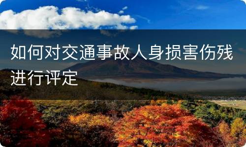 如何对交通事故人身损害伤残进行评定