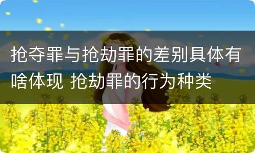 抢夺罪与抢劫罪的差别具体有啥体现 抢劫罪的行为种类
