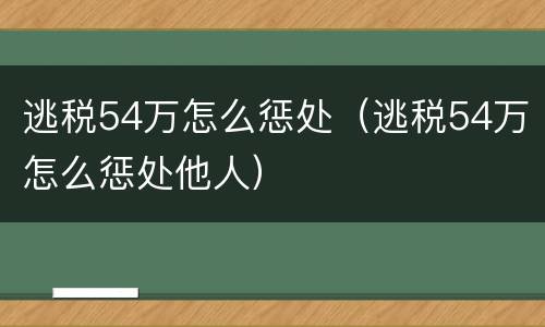 逃税54万怎么惩处（逃税54万怎么惩处他人）