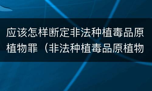 应该怎样断定非法种植毒品原植物罪（非法种植毒品原植物罪问题）