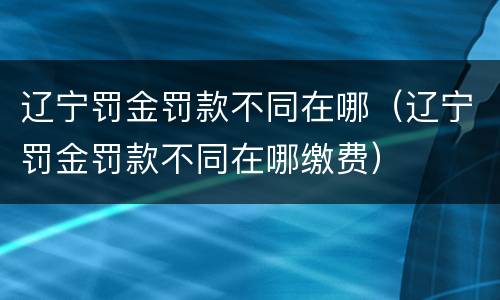 辽宁罚金罚款不同在哪（辽宁罚金罚款不同在哪缴费）